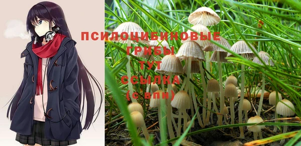 шишки Козельск