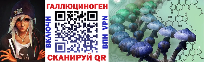 купить наркотики сайты  Кологрив  Галлюциногенные грибы Psilocybe 