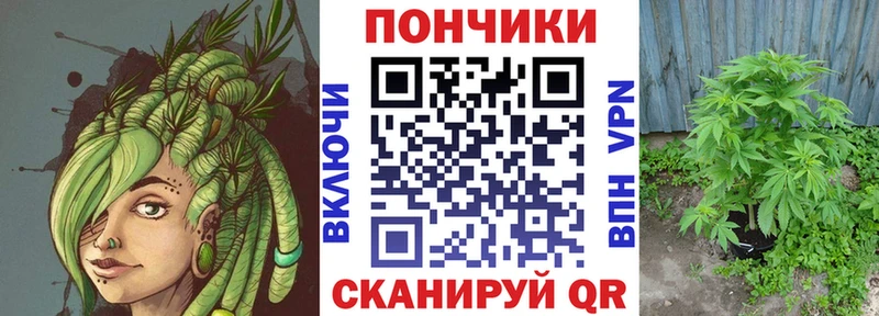 Бошки марихуана ГИДРОПОН  Кологрив 